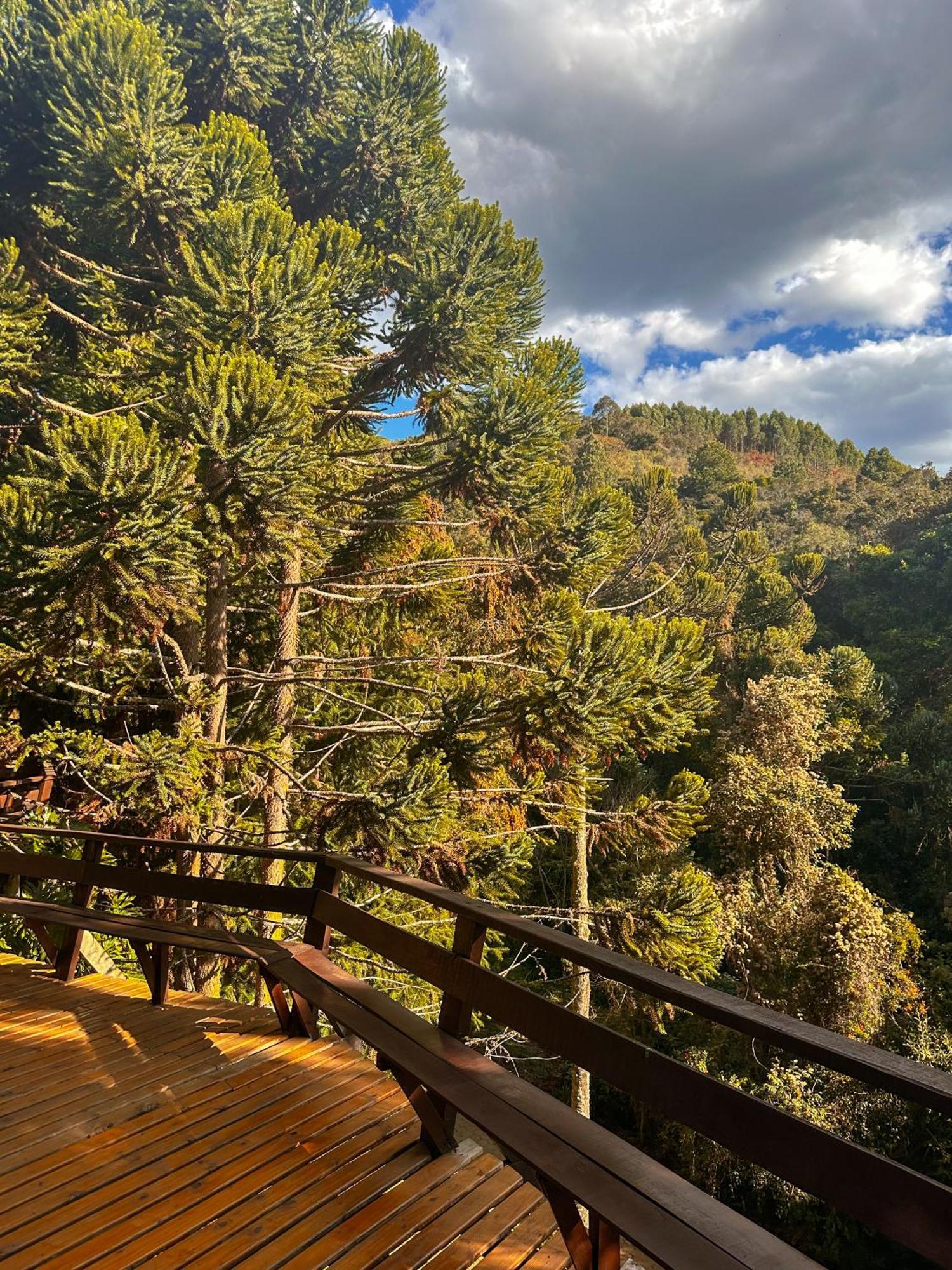 Alive Eco Hut Pousada Monte Verde  Exterior photo